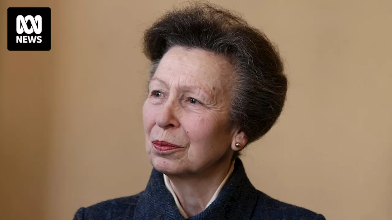 Princess Anne 'recovering well' in hospital after concussion, husband says