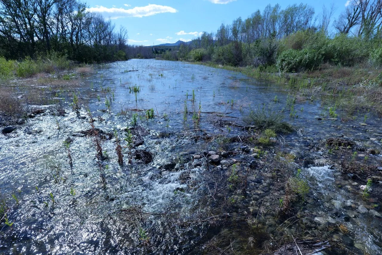 Malgré la sécheresse, pourquoi l'eau est de retour dans ce fleuve des Pyrénées-Orientales