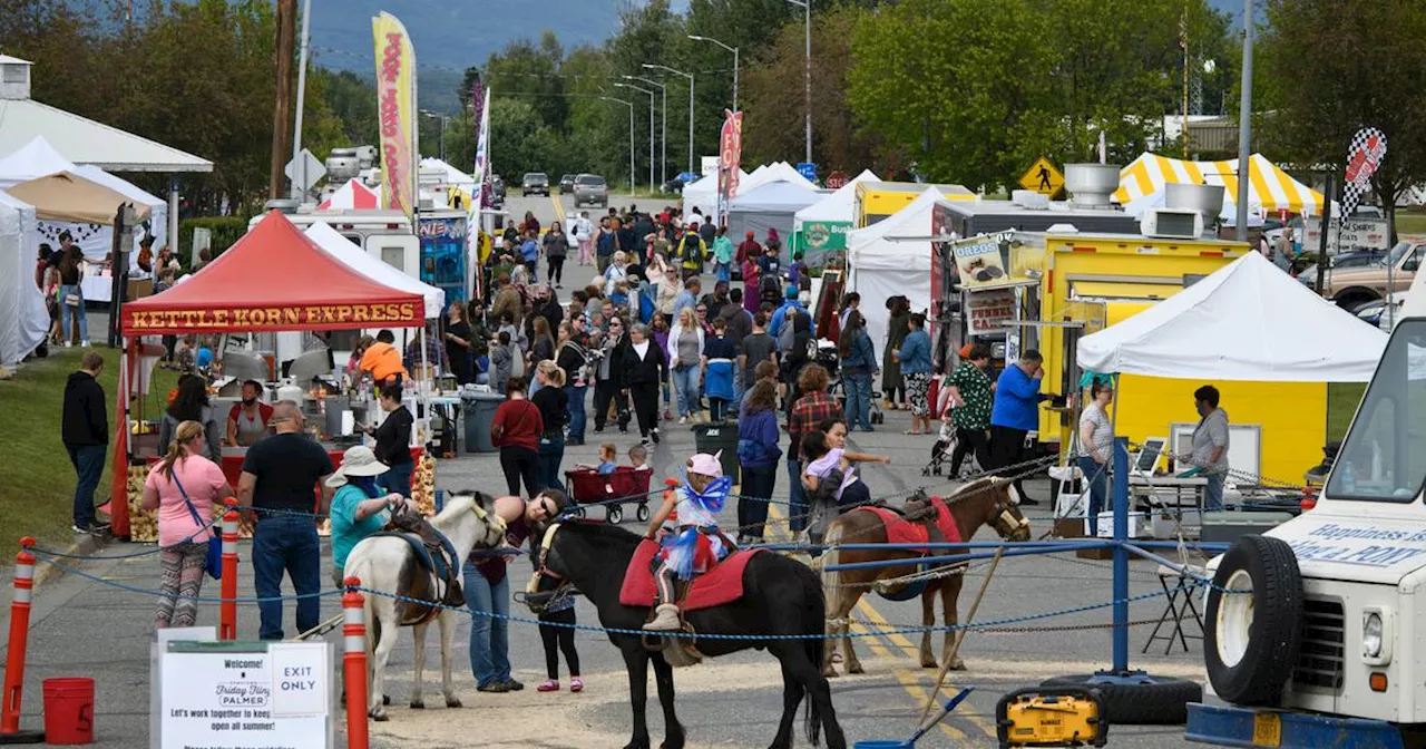 Popular weekly Palmer street fair paused due to ‘safety issues’