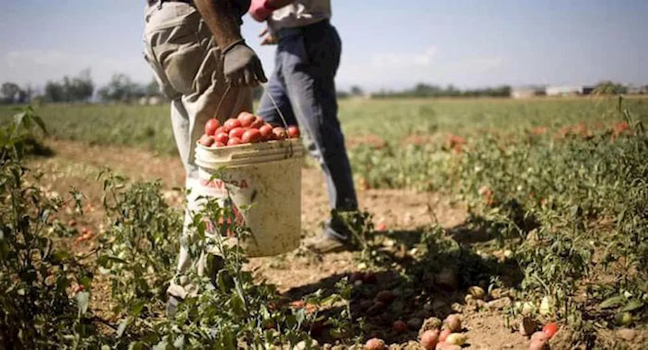 In arrivo la cig-caldo, 13 milioni di risorse per il 2024