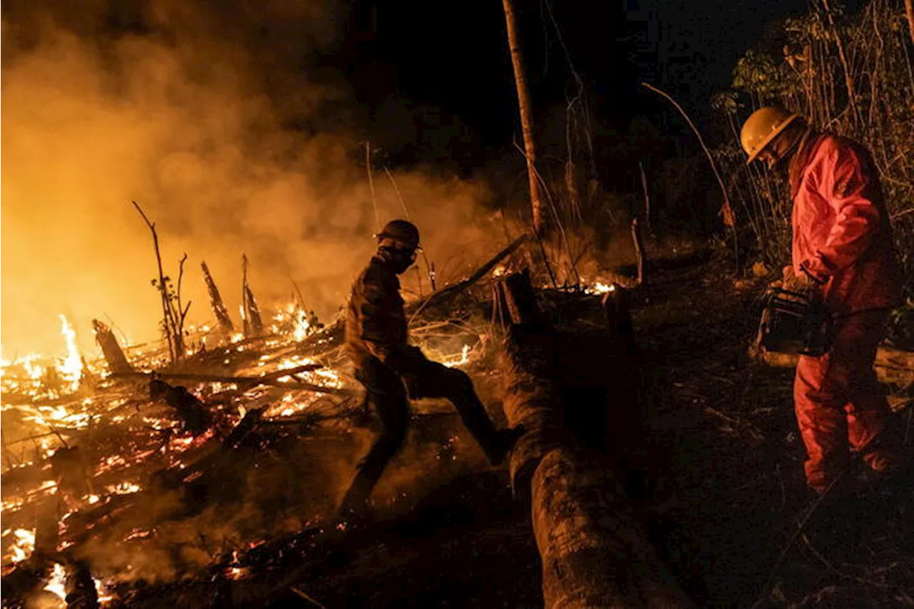 Incêndios florestais no Amazonas sobem 110% em junho