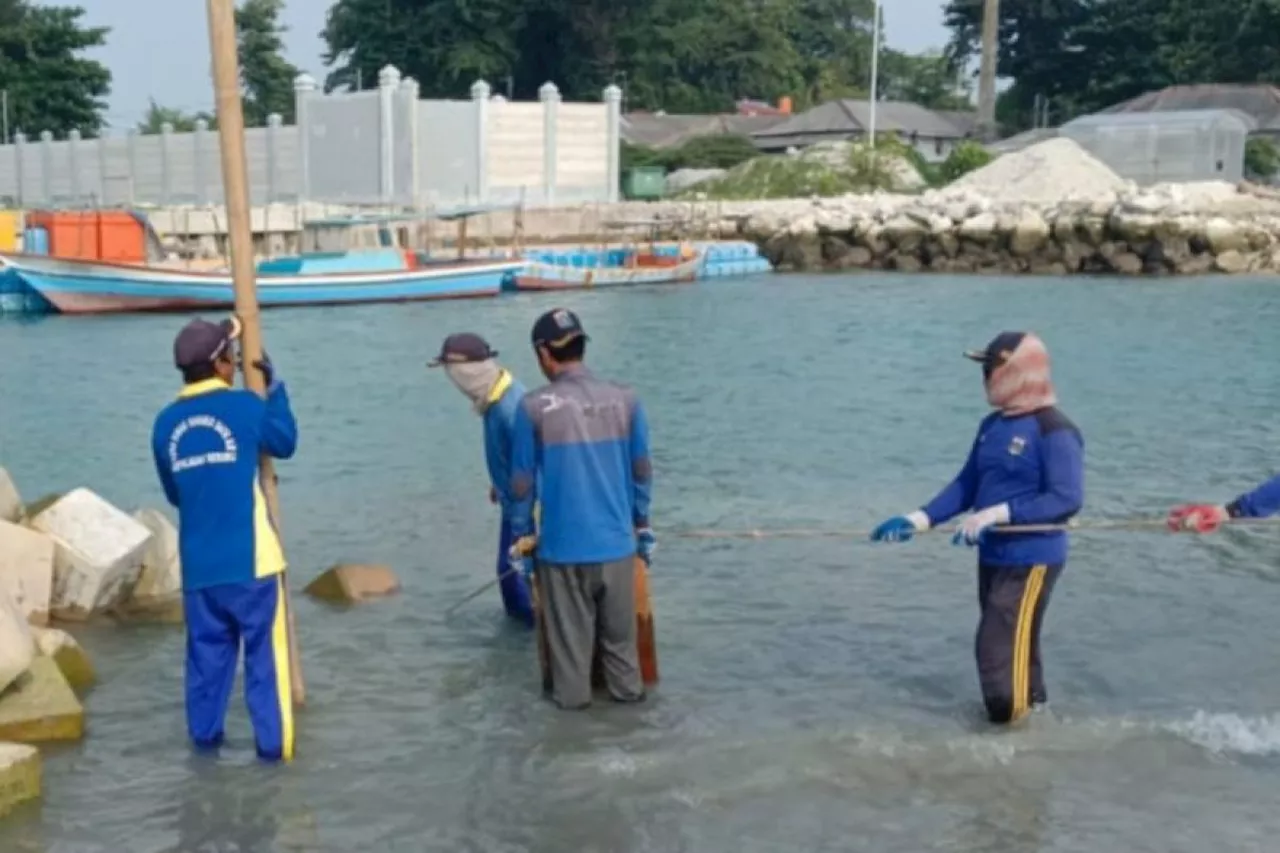 Pemkab Kepulauan Seribu pasang kubus pencegah abrasi di Pulau Sebira