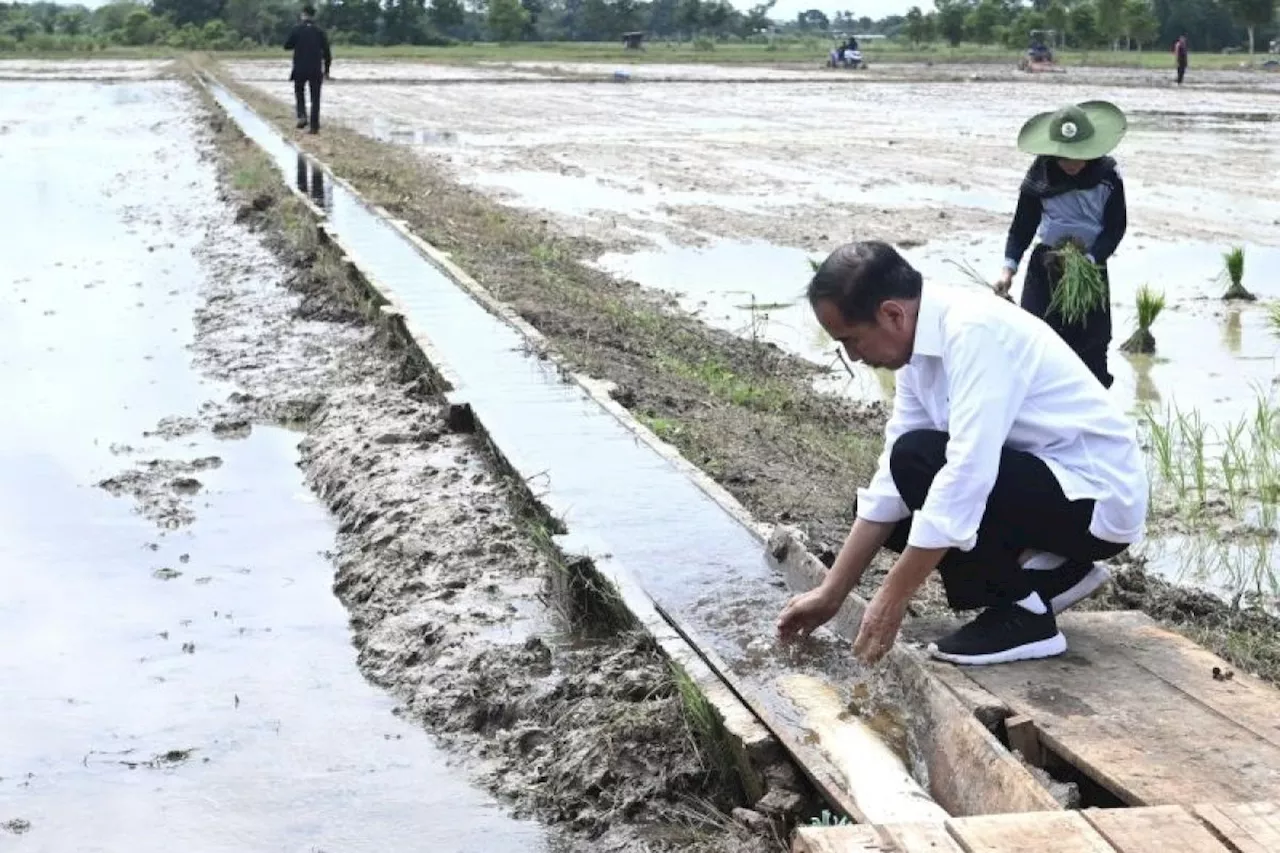 Presiden minta tambahan pompa atasi kekeringan lahan tani Juli-Oktober