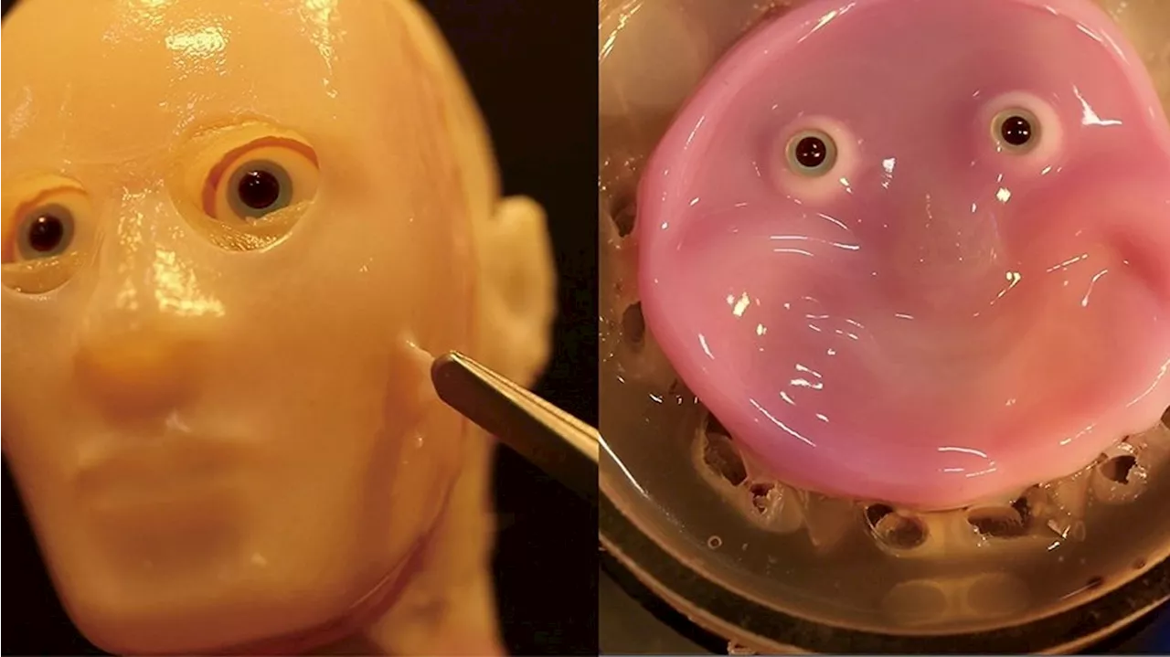 Scientists create smiling robot face from living human skin cells