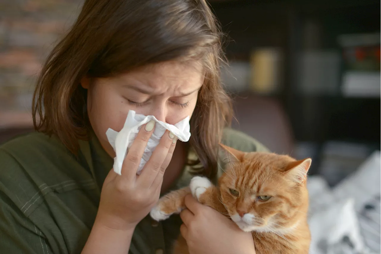 'Rabbit Fever' Is Spreading and Could Infect Humans, Health Officials Say