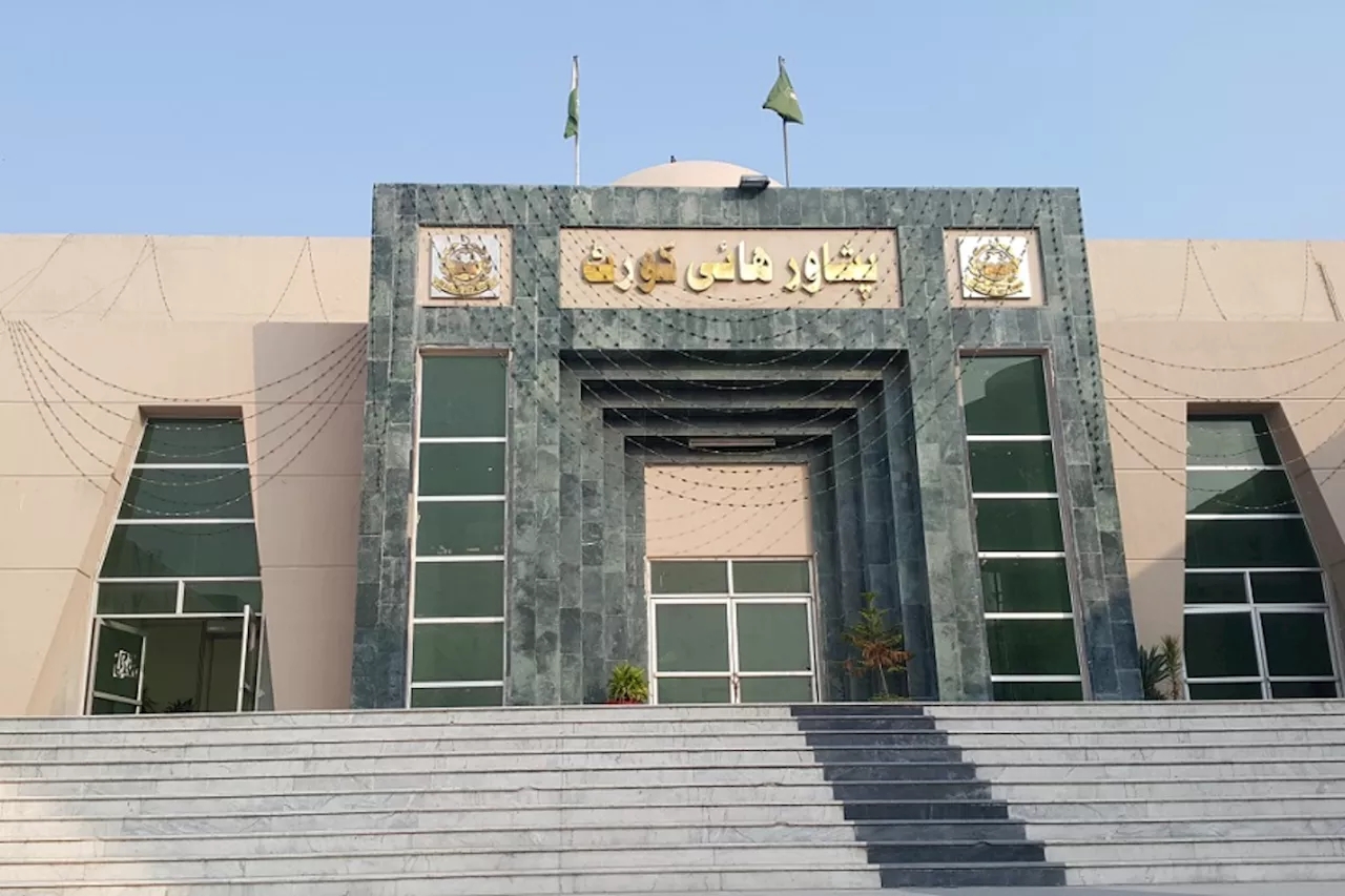 PHC orders PTA to remove blasphemous content from TikTok