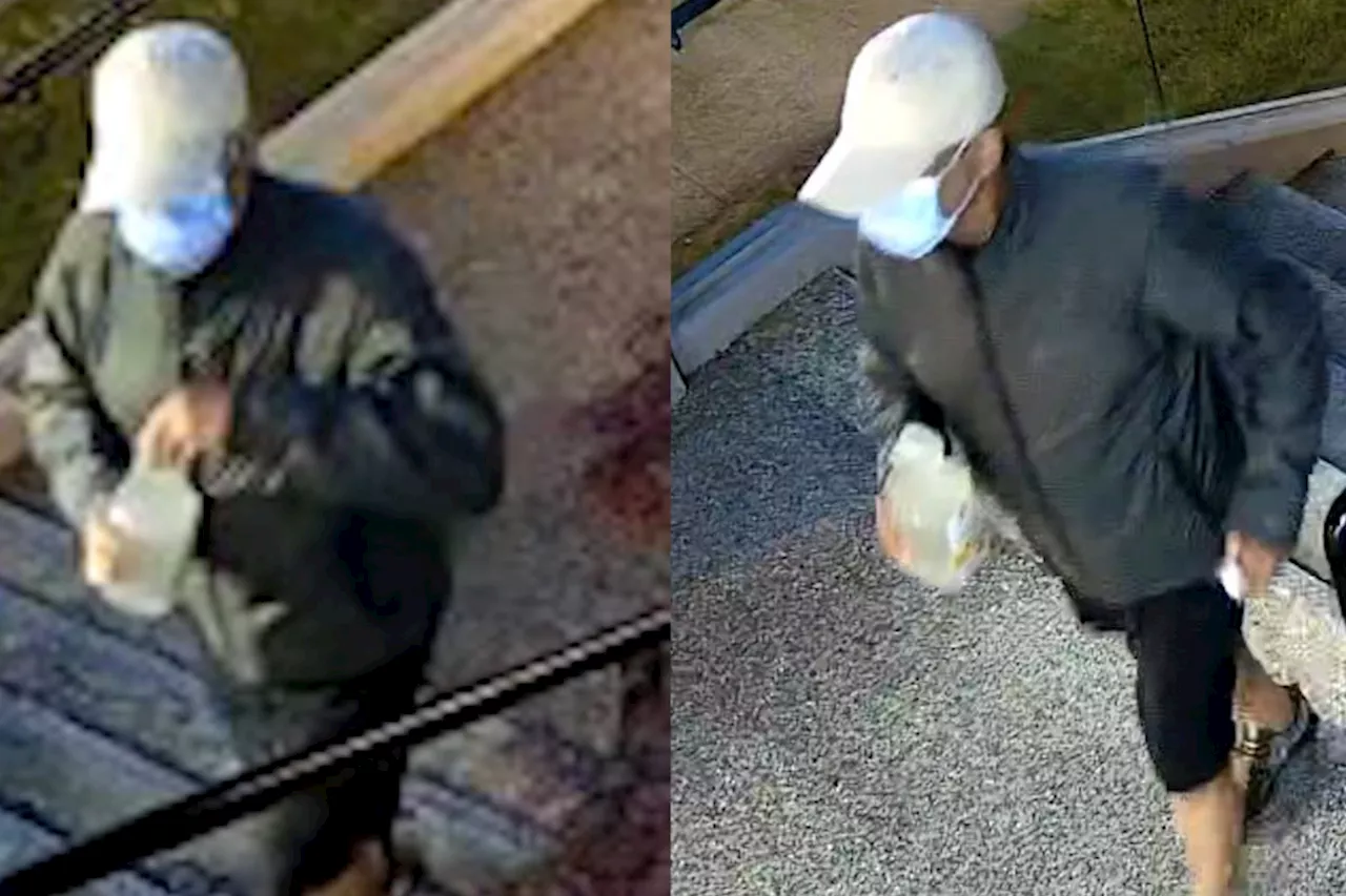 Video: Footage of Vancouver synagogue arson suspect released