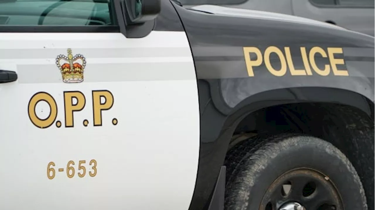 Wrong-way driver dies after Highway 401 crash near Kingston