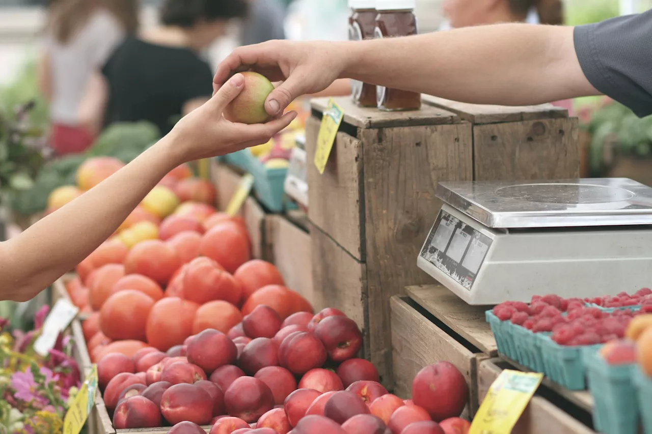 IPCA-15 desacelera a 0,39% em junho, apesar de alta de alimentos, diz IBGE