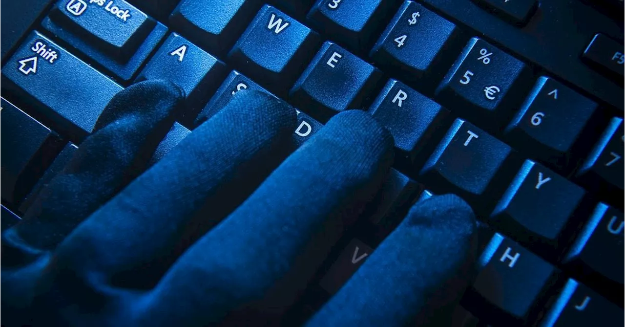 Cardano Unfazed By Failed DDoS Attack Targeting Staked ADA