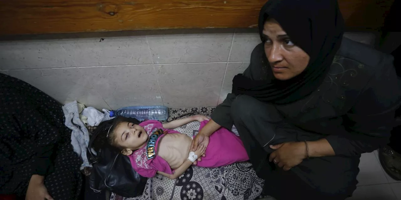 Aid Group Warns New UN Figures Show 'Hunger Catastrophe' for Gaza Children