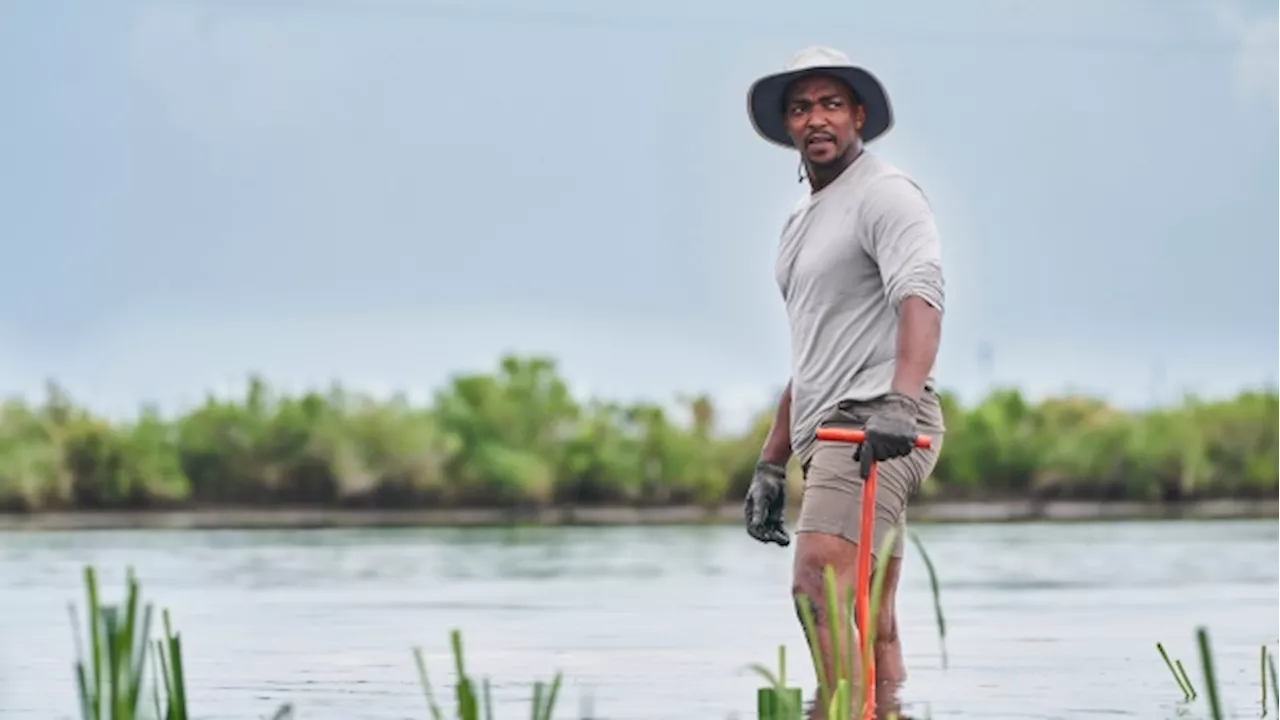 'Captain America' star Anthony Mackie's own super power is swimming with sharks