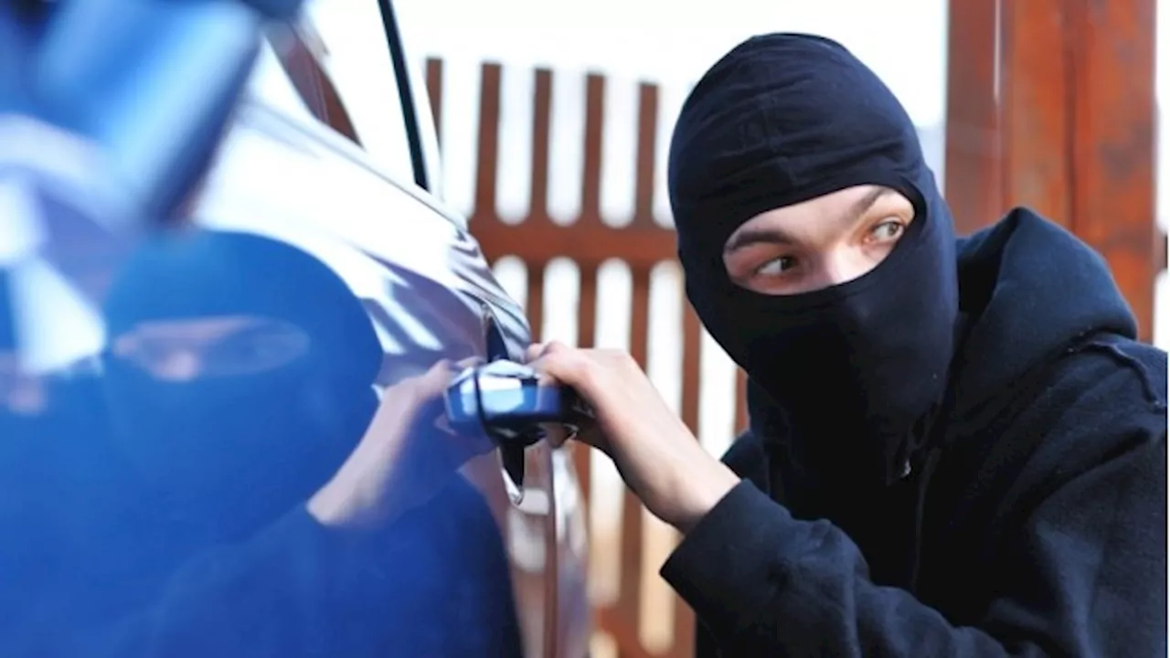 How an Ottawa neighbourhood is trying to battle car thieves