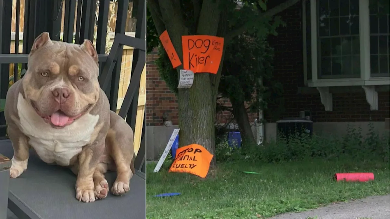 Police searching for suspects who allegedly broke into Hamilton home at centre of animal cruelty investigation