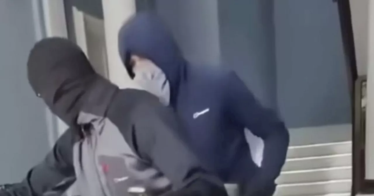 Masked bike gang break into plush flat and steal safes with cash and jewellery