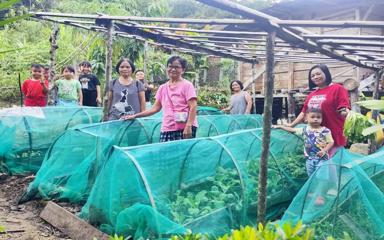 PRUCare programme to benefit 100 Kota Belud farmers