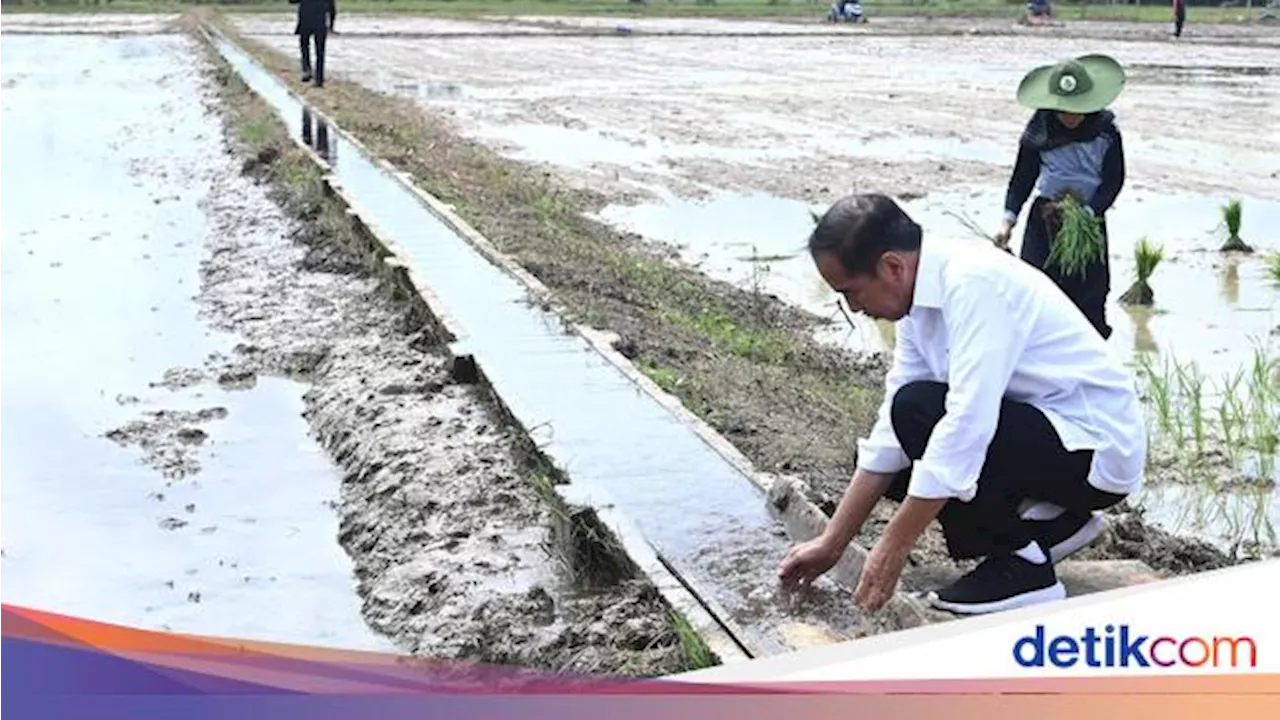 Bikin Pompa Air buat Sawah, Jokowi Mau Petani Bisa Panen 3 Kali!