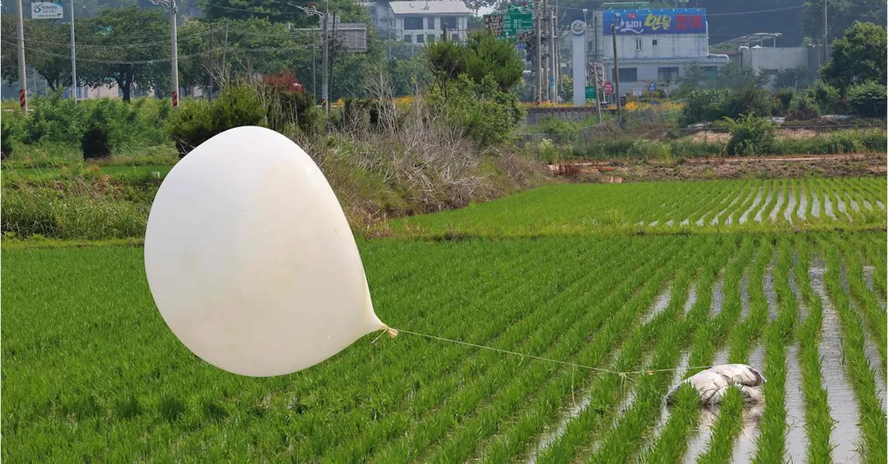 Müllballons aus Nordkorea stören Flugbetrieb am Flughafen in Seoul