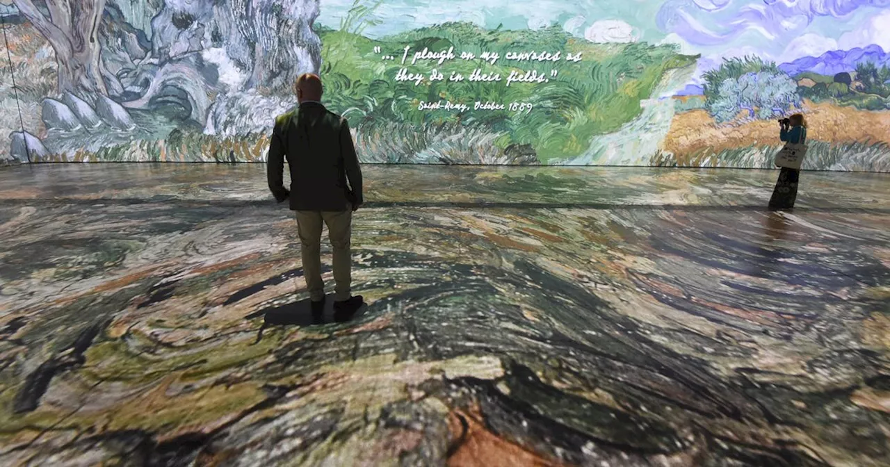 First look at extraordinary Beyond Van Gogh: Immersive Experience