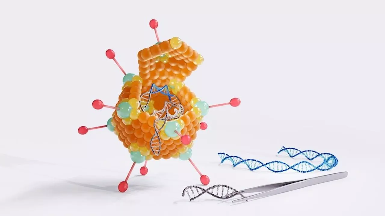 Adenoviruses In Gene Therapy & Gene Editing