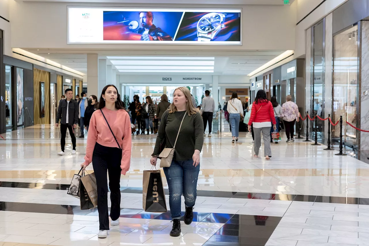 Shopping malls better adapt to modern times to avoid total death, serial entrepreneur says