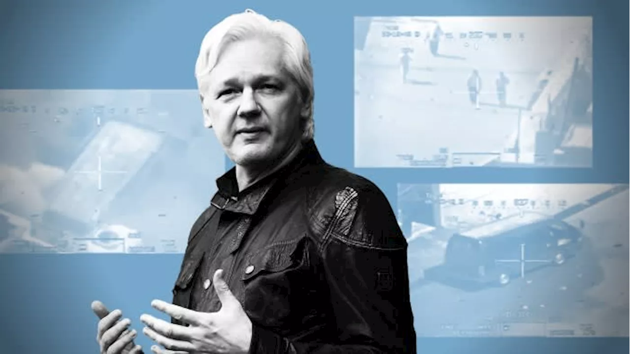 WikiLeaks gadfly: the Julian Assange saga