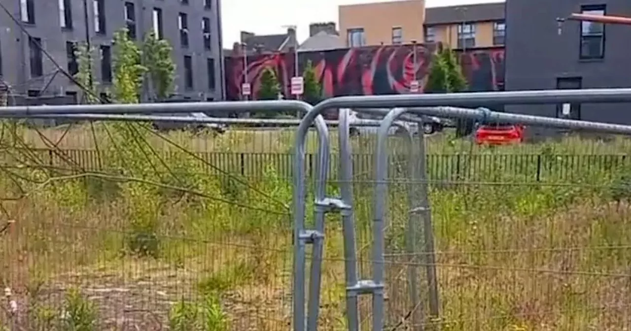 Glasgow grass left to 'grow naturally' say city council after complaints about state of parks