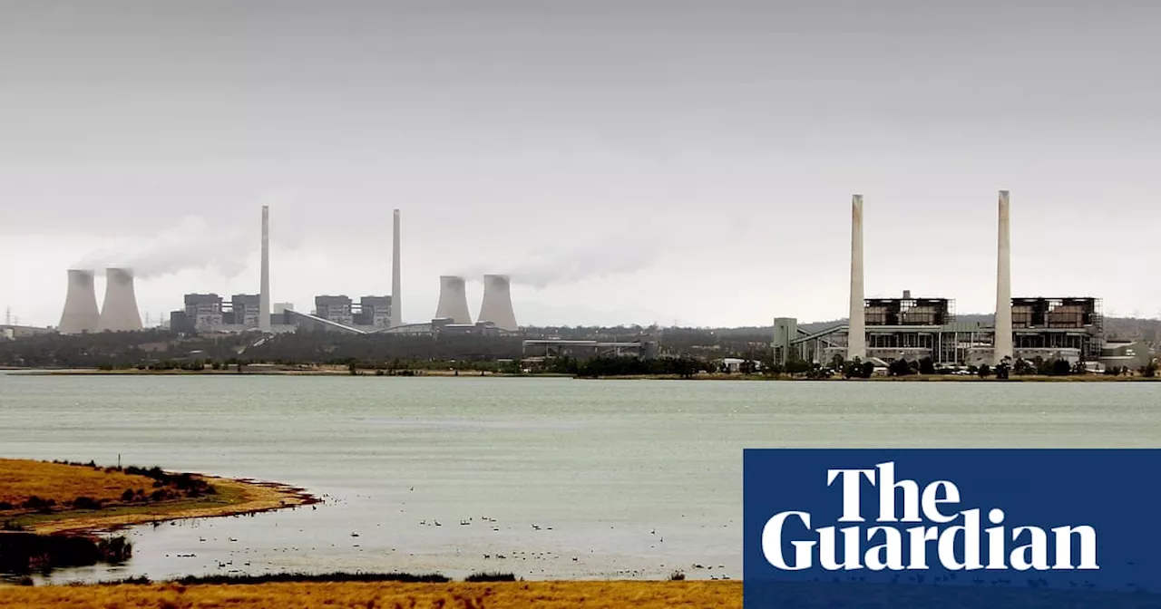 NSW government accused by critics of using ‘fatally compromised’ emissions report