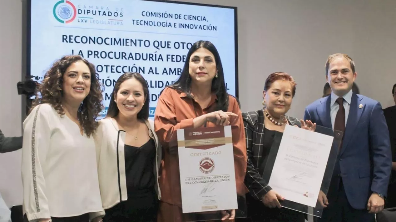 Cámara de Diputados recibe certificación de calidad ambiental de PROFEPA