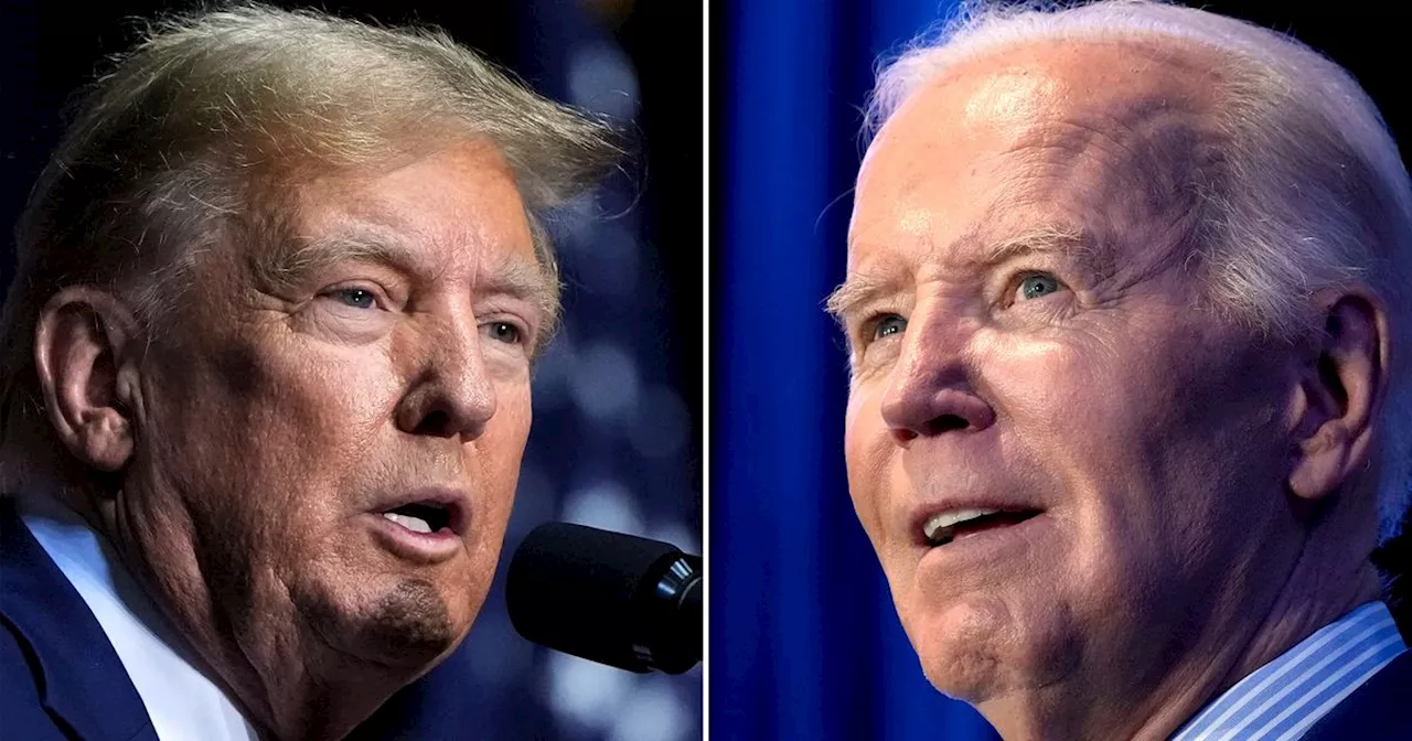 Social Media Predicts Outcome Of Trump-Biden Debate — And It's Hilarious