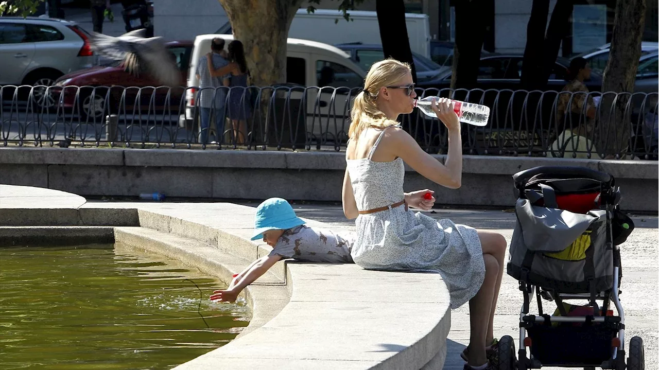 Podrás saber cómo te está afectando el calor extremo con una web gratuita