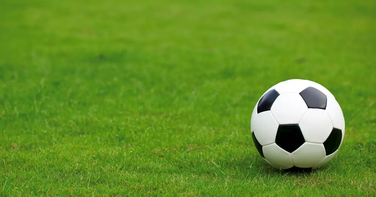 South Dublin football club ordered to invite children from halting site to soccer fun day