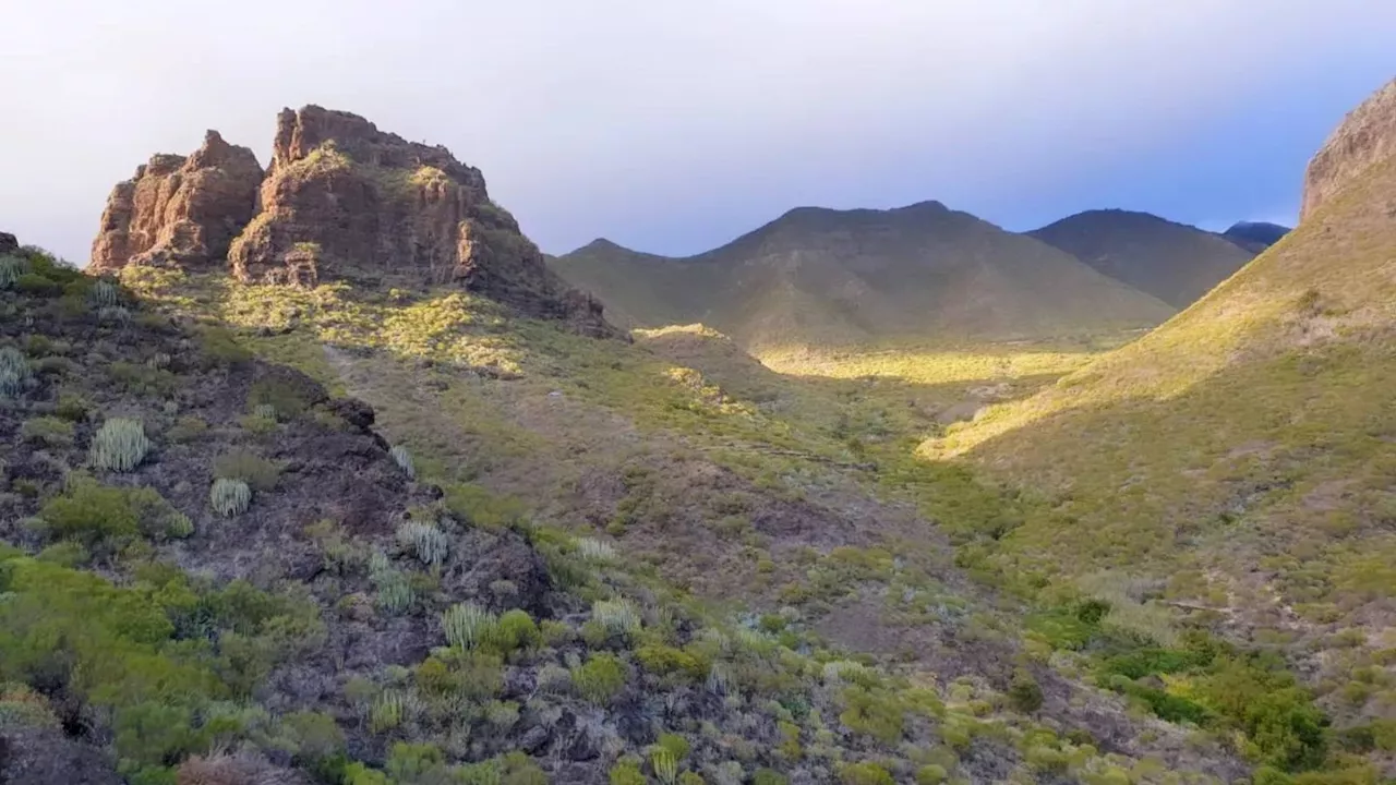 Scottish hiker rescued in search for missing teen Jay Slater in Tenerife