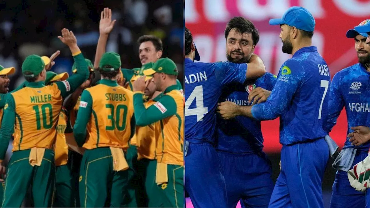 SA vs AFG Live Streaming: भारत में फ्री में कैसे देखें T20 WC 2024 का पहला Semi Final, यहां जानिए धांसू तरीके