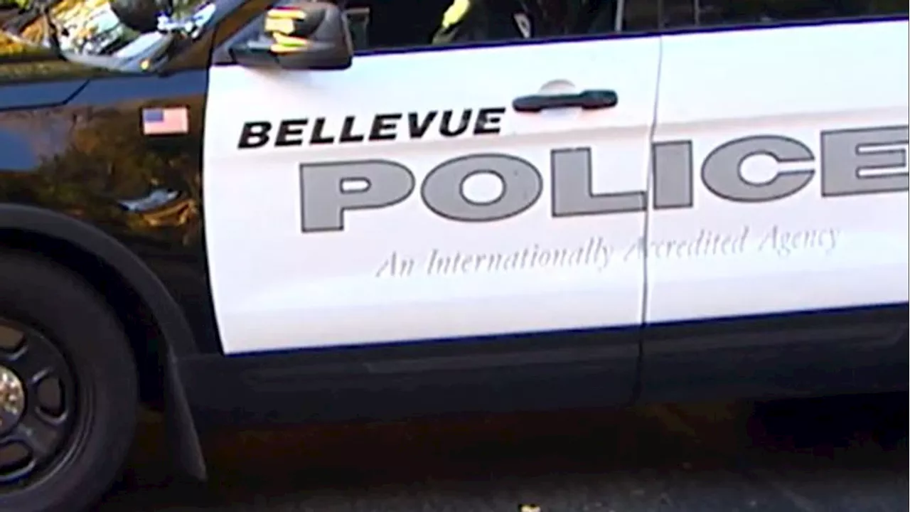 Bellevue police urge vigilance as thieves target elderly residents in street thefts