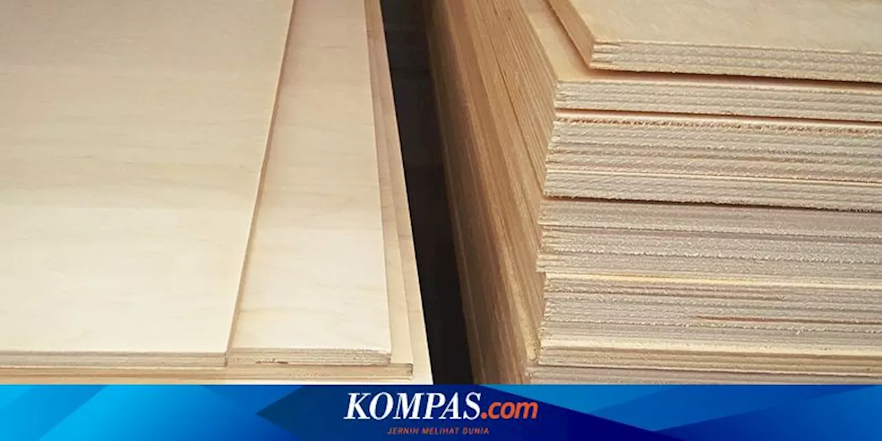 Mengenal 'Plywood', Material Kayu Ekstra Kuat dan Tahan Air