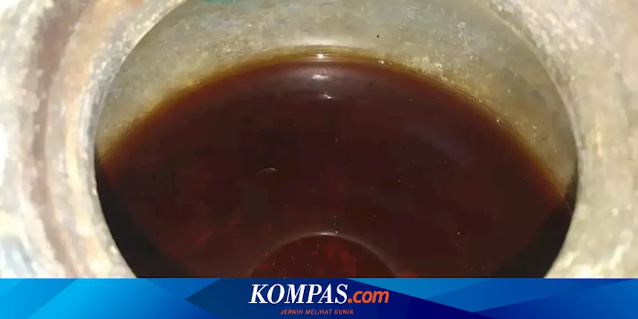 Wine Cair Tertua di Dunia Mengandung Bahan Mengejutkan, Apa Itu?