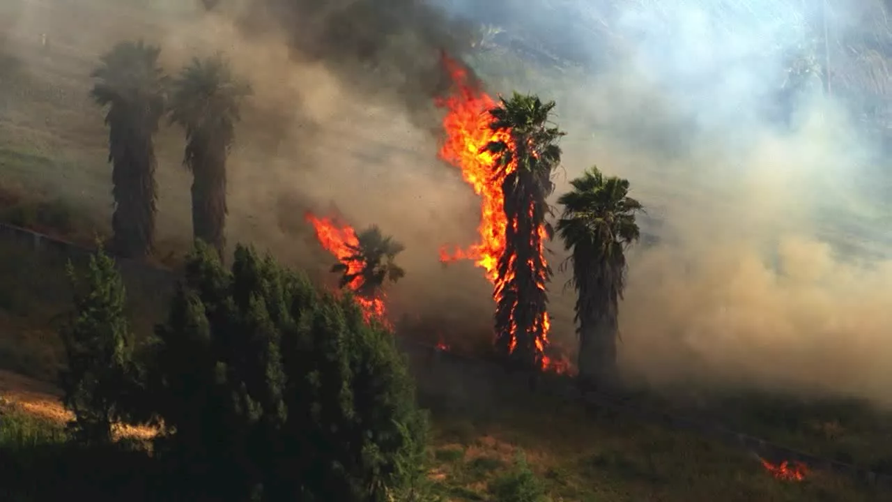 Firefighters battle grass fires in Sonoma, Alameda counties