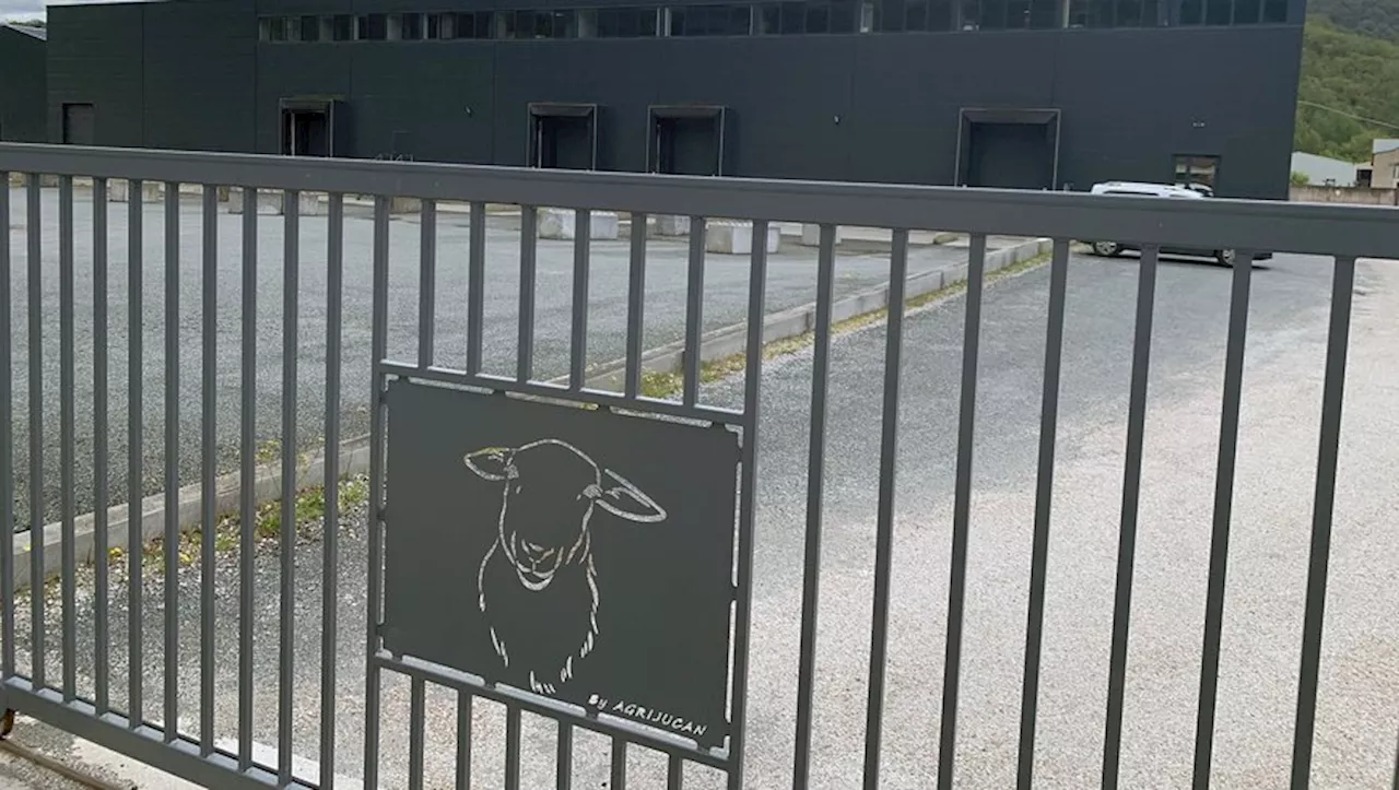 'En un mot, c’est triste' : l’abattoir de Saint-Affrique placé en liquidation judiciaire