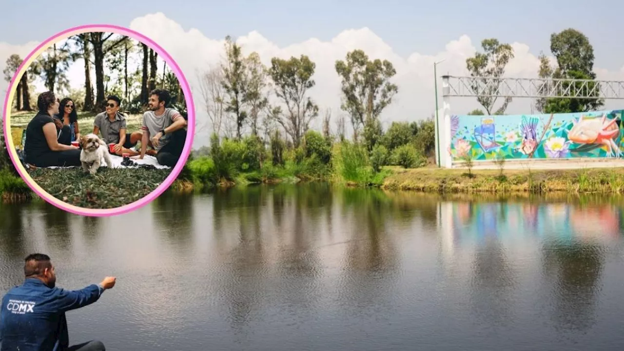 El tour gratis para conocer este bonito y turístico Parque Ecológico de Xochimilco