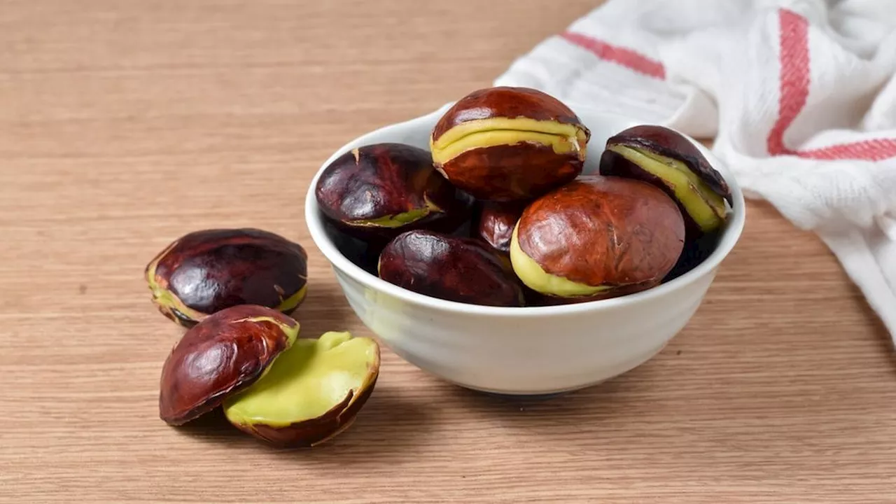 Cara Merebus Jengkol Agar Tidak Bau dan Cepat Lunak, Hanya dengan 1 Bumbu Khusus
