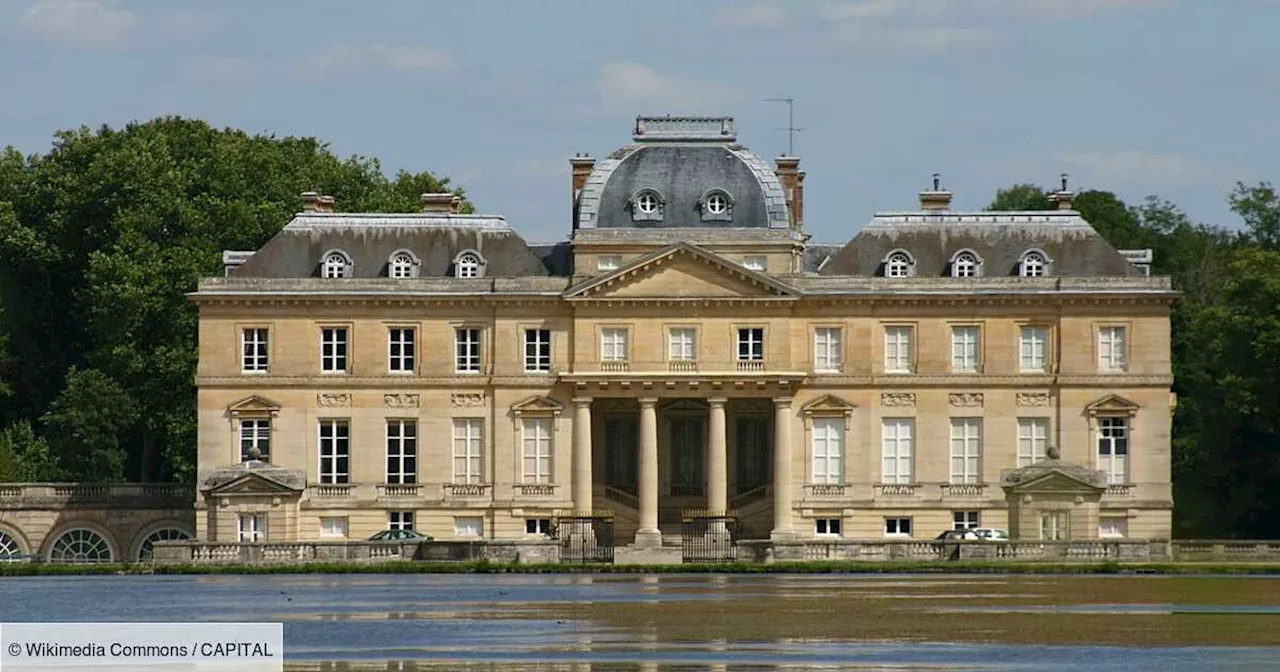 Le milliardaire Daniel Kretinsky s'empare du «Versailles de l’Essonne» pour un projet spectaculaire