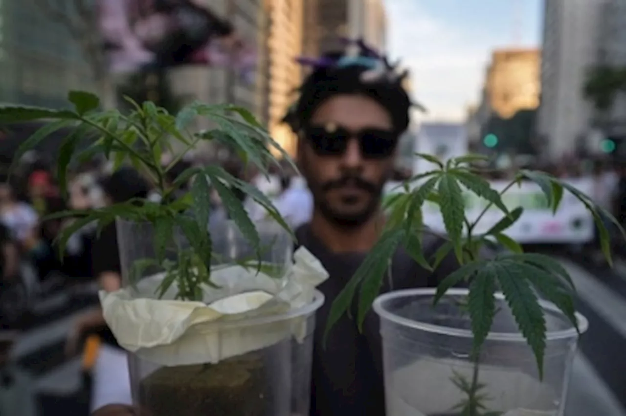 Brazil’s top court votes to decriminalise personal weed use