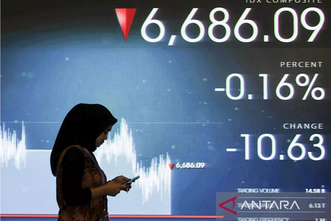 Pluang Bantu Investor Muda Kenali Pasar Saham dengan Baik