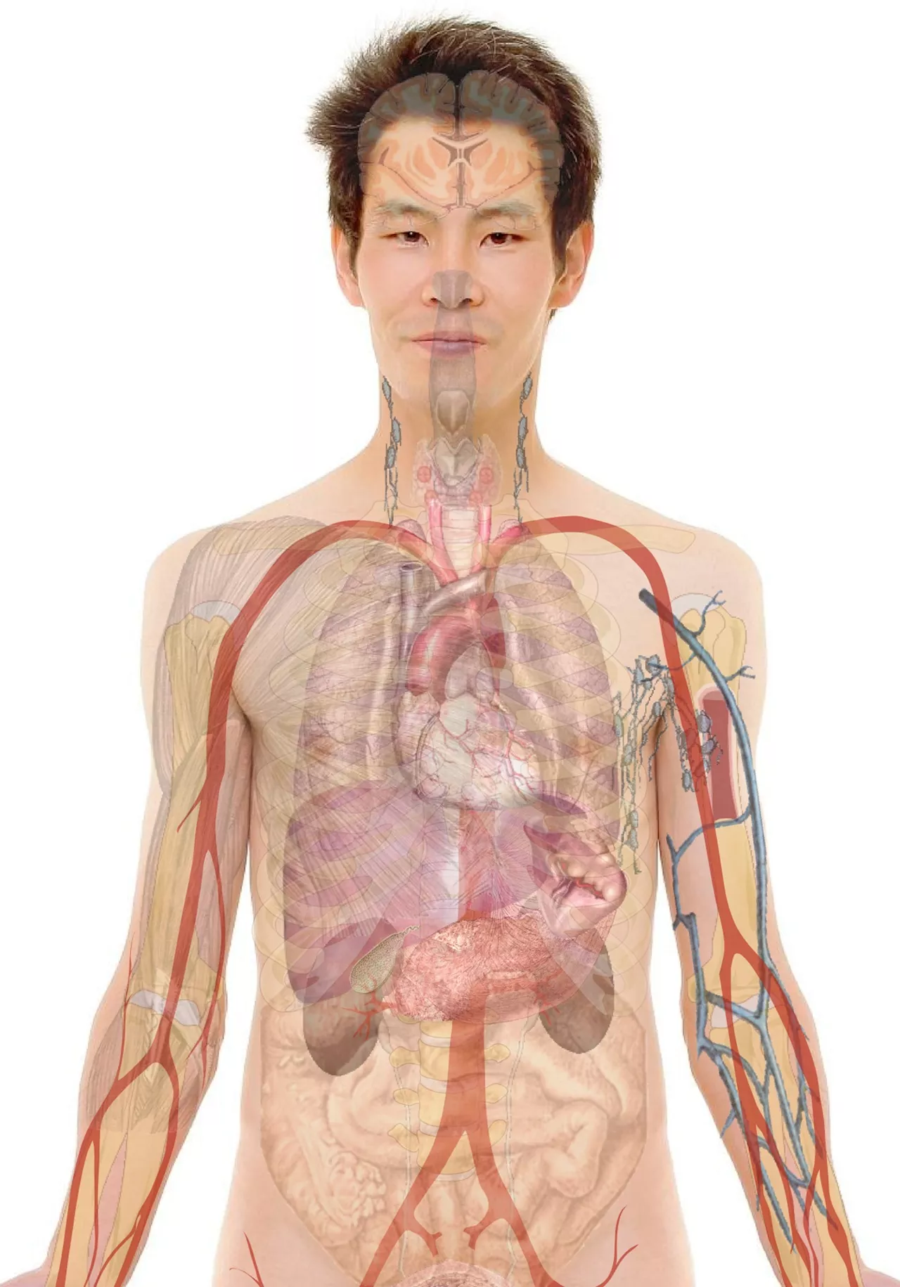 Review highlights advances and future needs in AL amyloidosis treatment