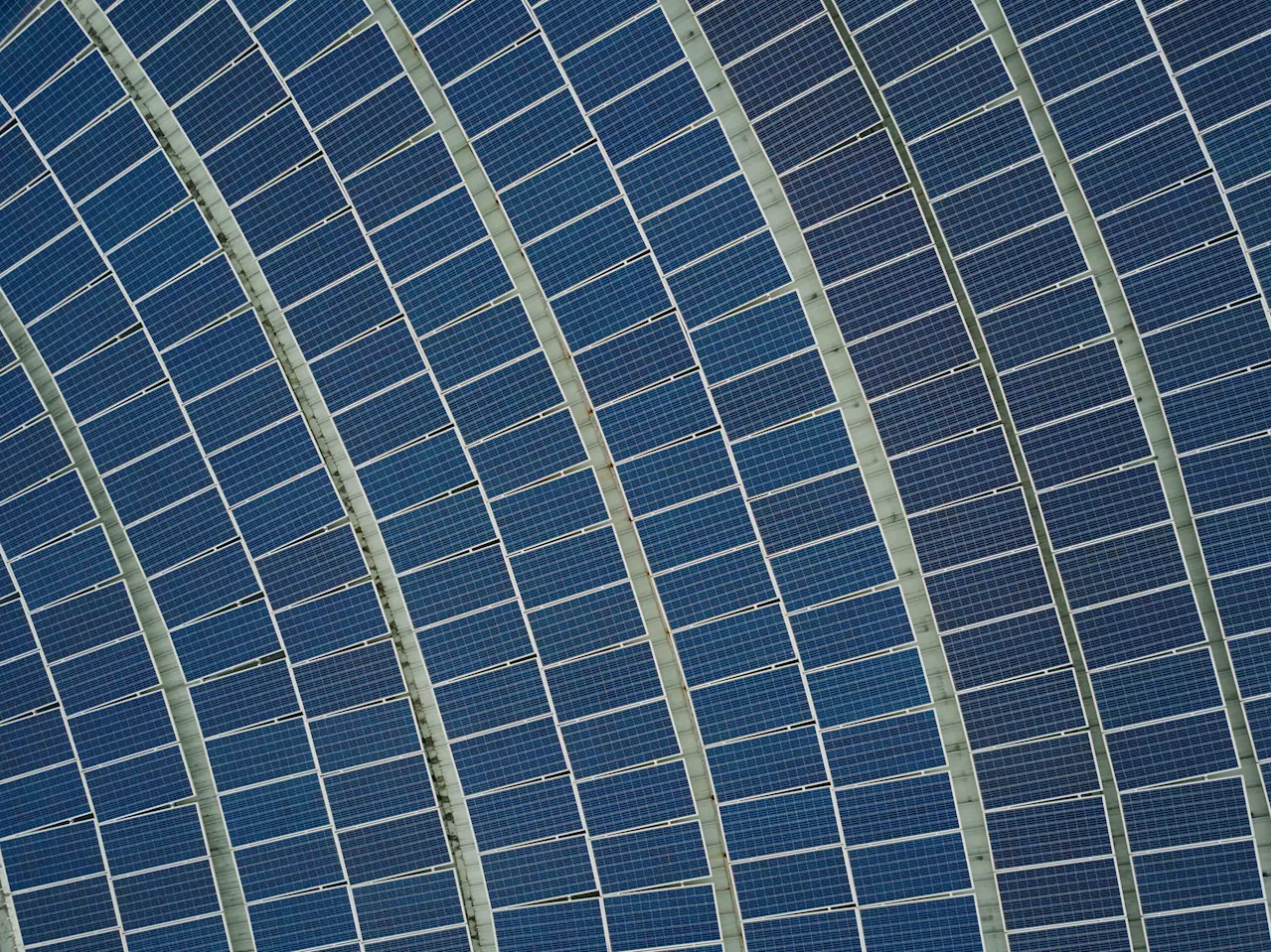 Solar to be Vatican's sole energy source, pope orders