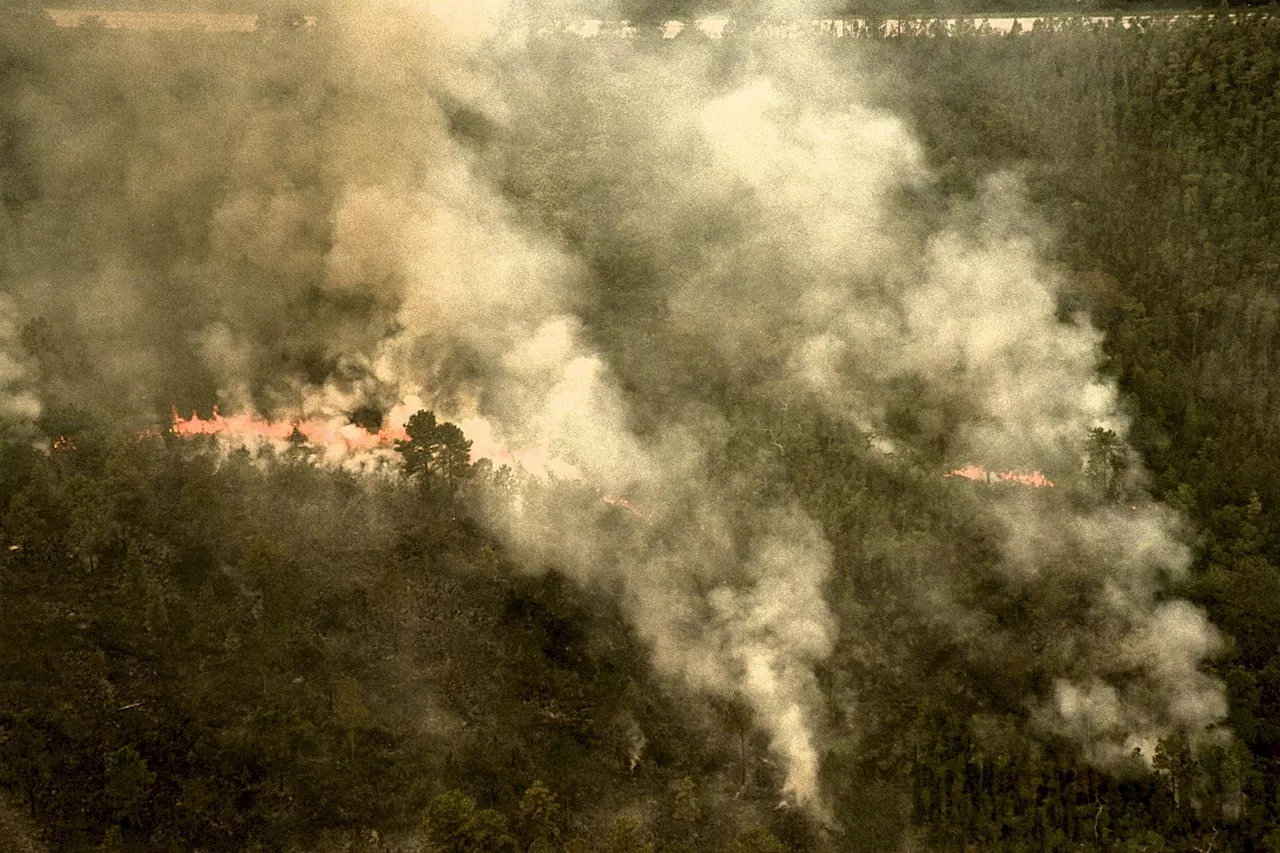 The 1998 Florida Firestorm and NASA's Kennedy Space Center