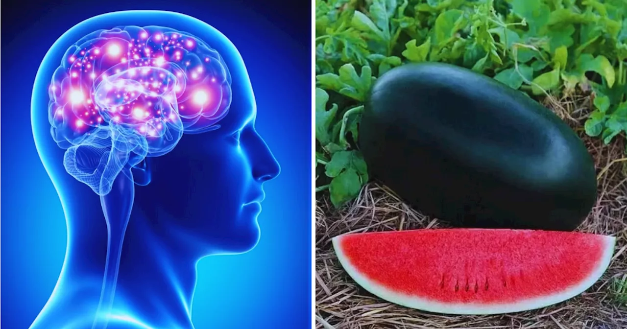 Brain Boosting Fruits: दिमाग की बंद नसें खोलते हैं 6 फल, तेजी से बढ़ेगी बुद्धि, भूल नहीं सकते एक बार लिखा-पढ़ा