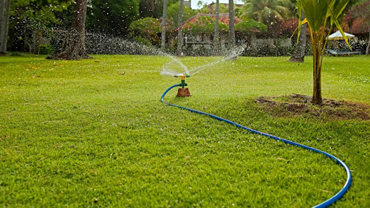 SAWS customers are in stage 3 watering restrictions and here's what it means