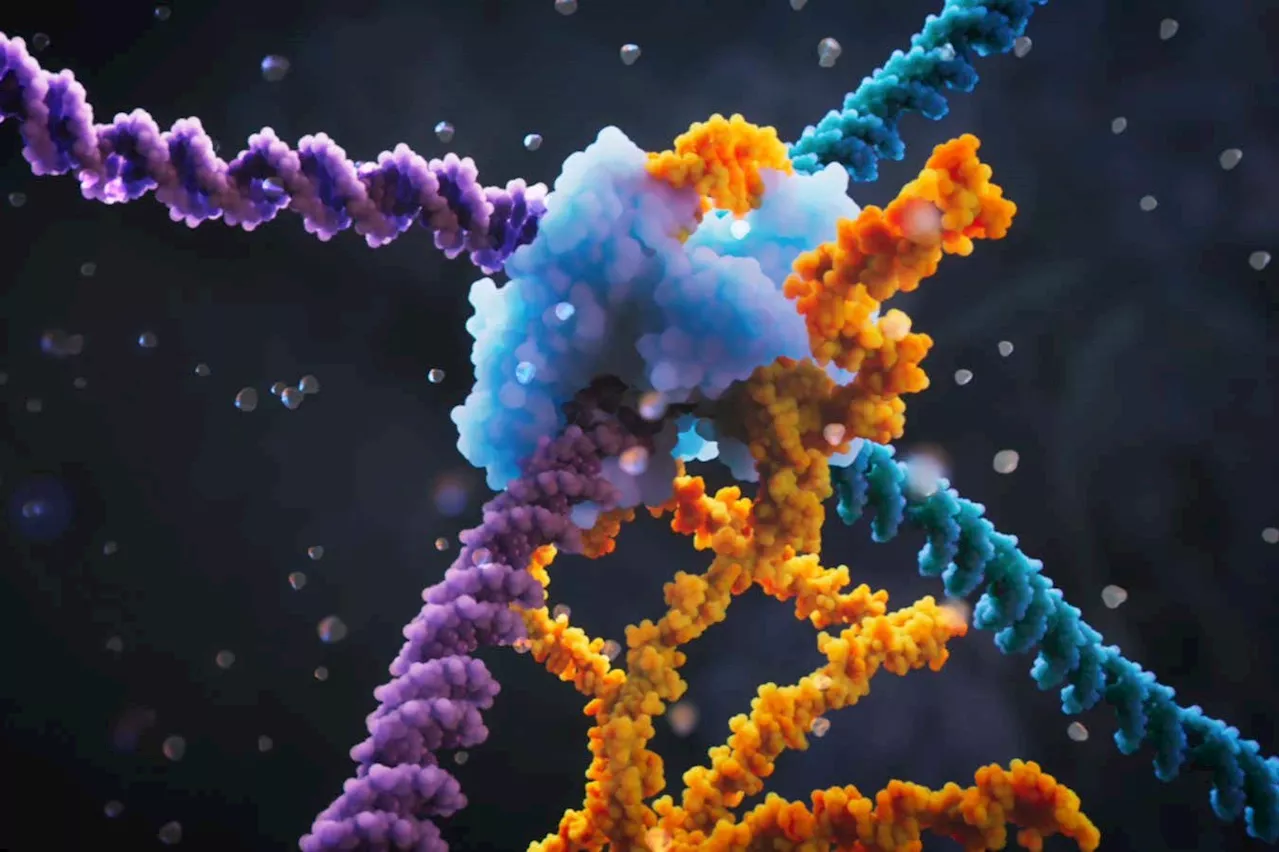 'Bridge editing' could be even better at altering DNA than CRISPR